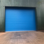 blue roller